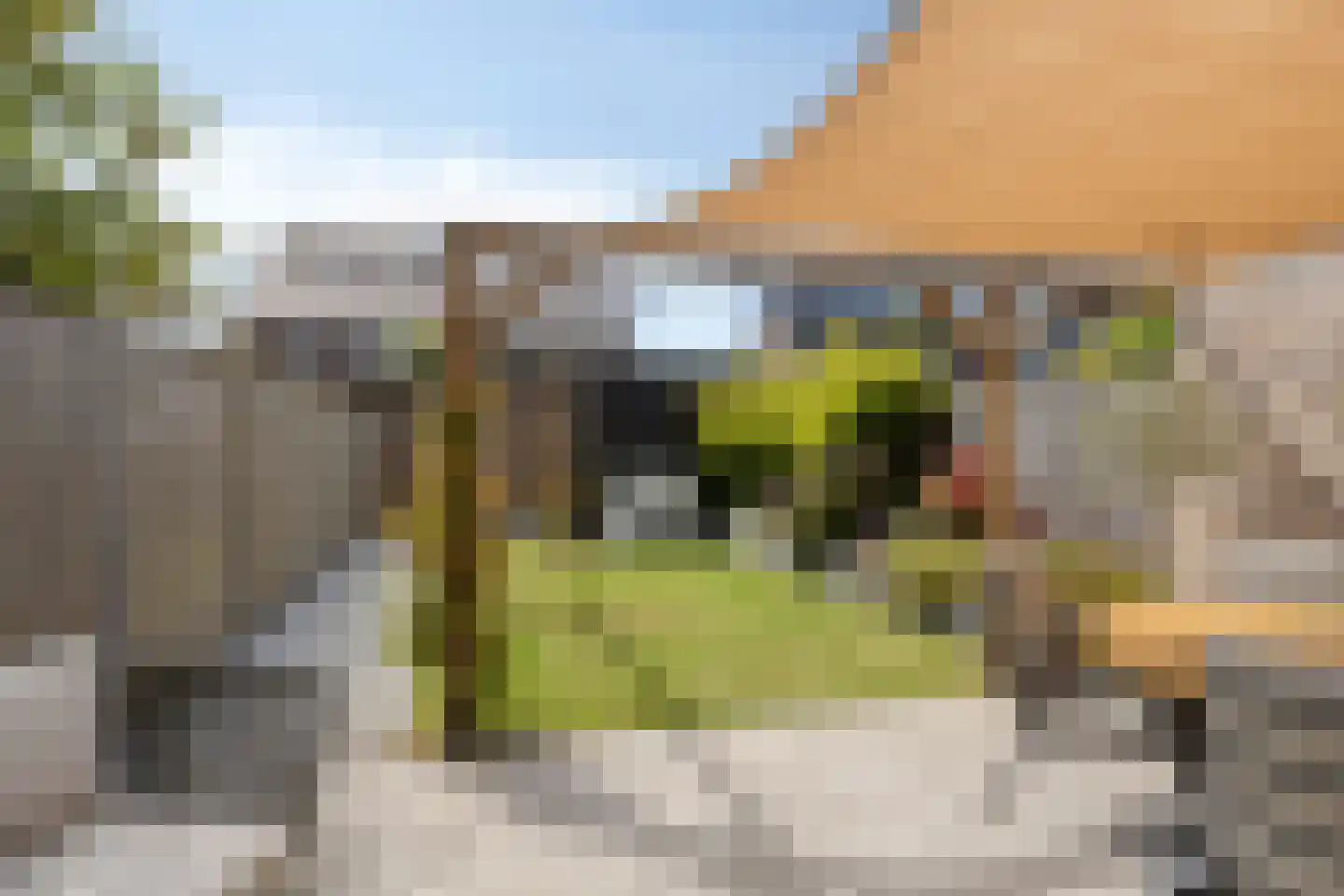 Gerrit van der Heidehage 19 Emmeloord thumbnail 22