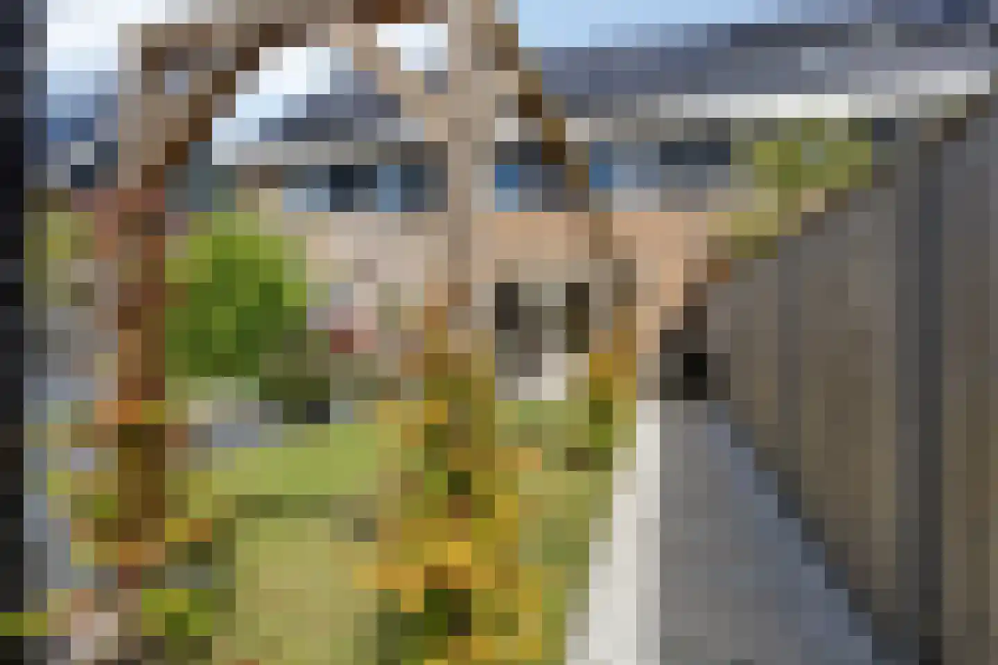Gerrit van der Heidehage 19 Emmeloord thumbnail 24