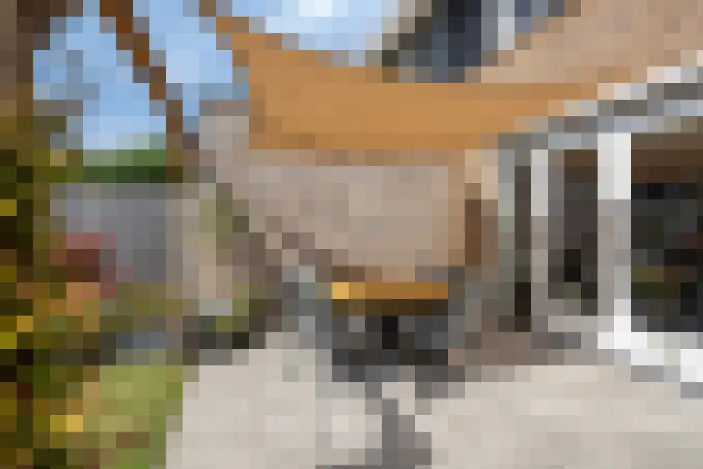 Gerrit van der Heidehage 19 Emmeloord thumbnail 25