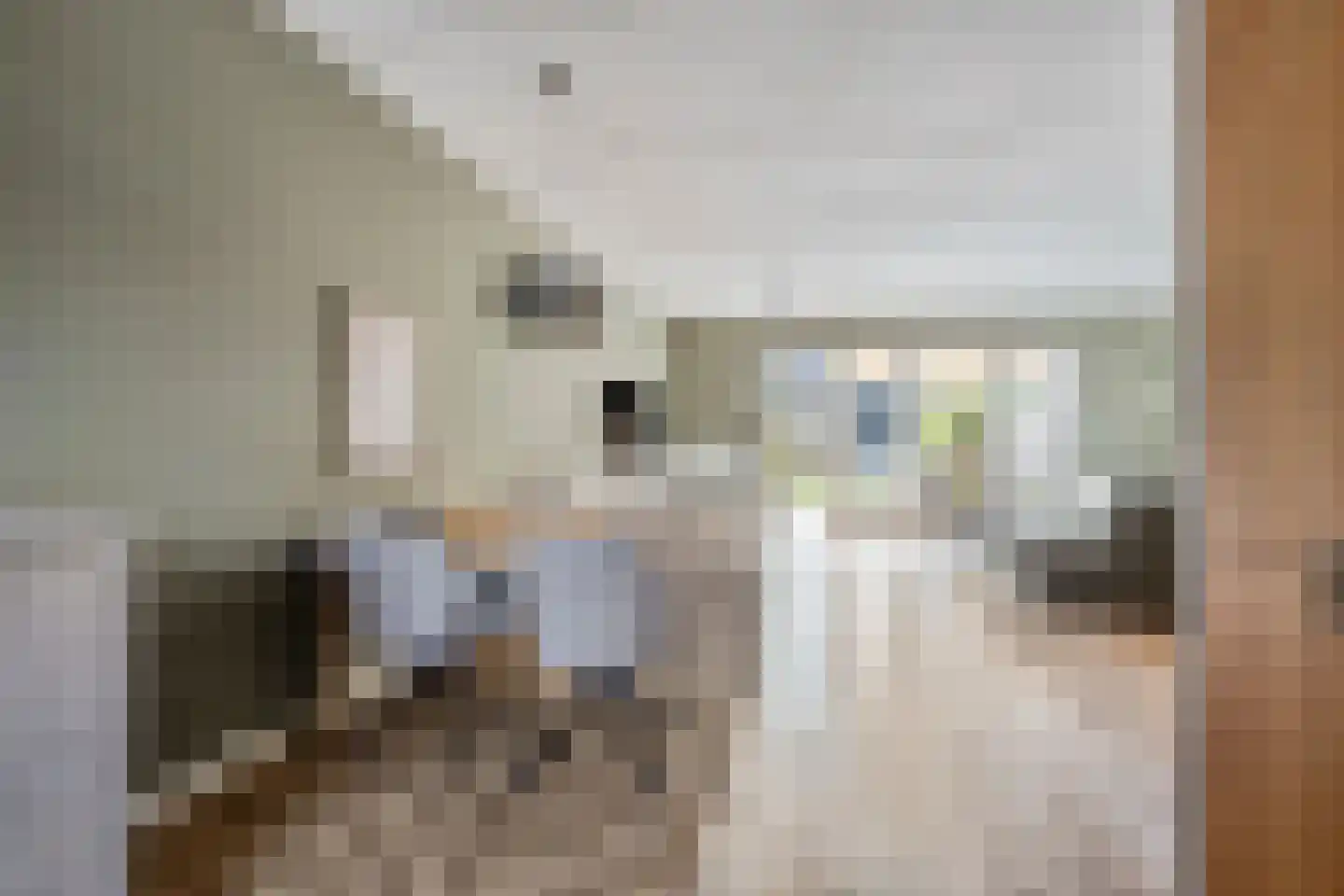 Gerrit van der Heidehage 19 Emmeloord thumbnail 9