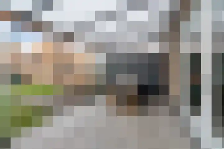 Gerrit van der Heidehage 5 Emmeloord thumbnail 21
