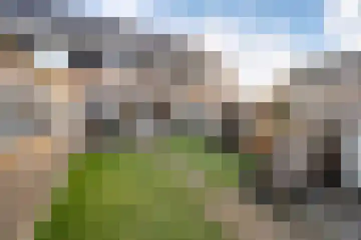 Gerrit van der Heidehage 5 Emmeloord thumbnail 24