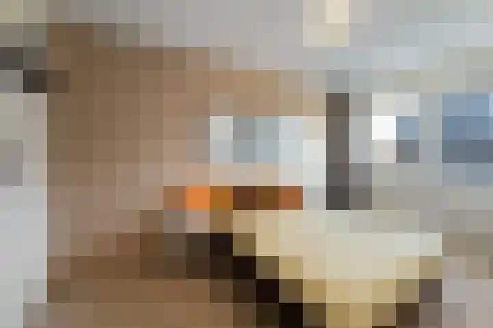 Gerrit van der Heidehage 5 Emmeloord thumbnail 31