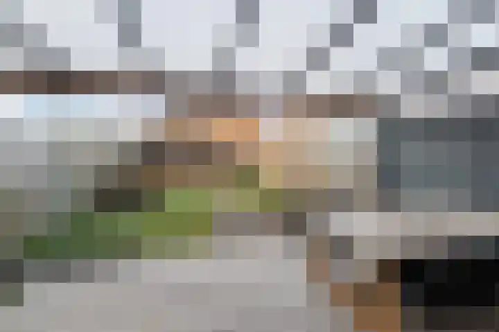 Gerrit van der Heidehage 5 Emmeloord thumbnail 4