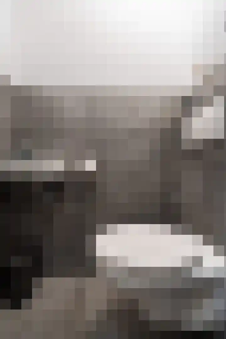 Gerrit van der Heidehage 5 Emmeloord thumbnail 8