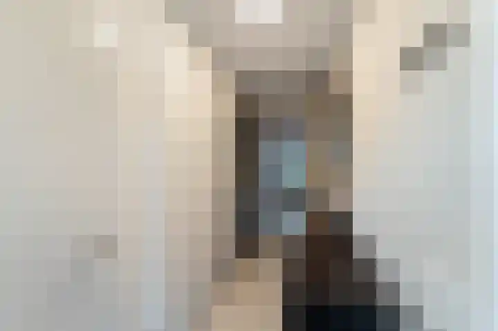 Gerrit van der Heidehage 5 Emmeloord thumbnail 9
