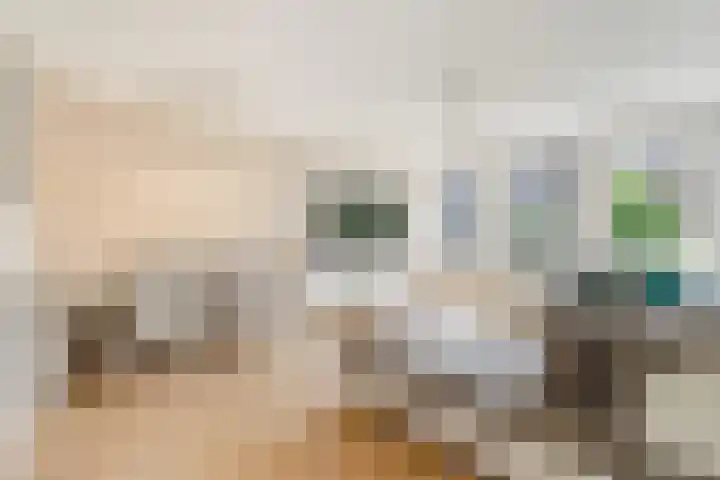 Gerrit van der Veenlaan 121 Den Haag thumbnail 10