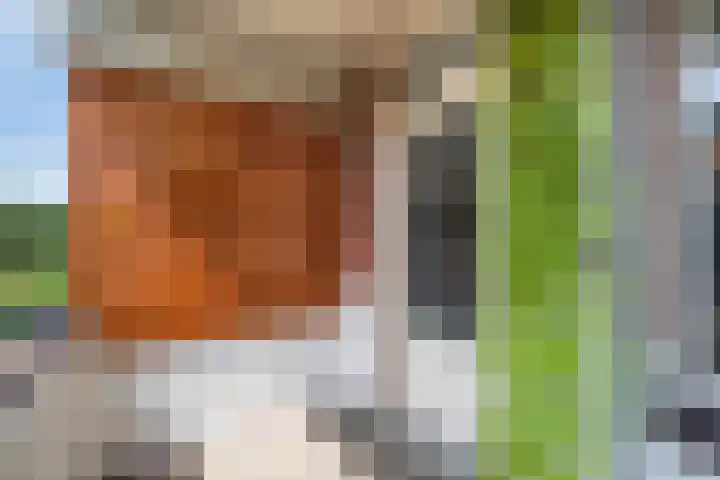 Gerrit van der Veenlaan 121 Den Haag thumbnail 22