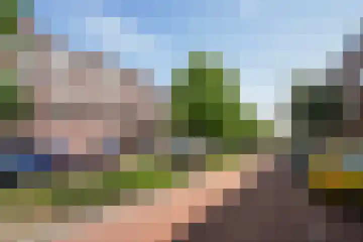 Gerrit van der Veenlaan 121 Den Haag thumbnail 27
