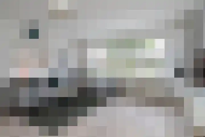 Gerrit van der Veenlaan 138 Den Haag