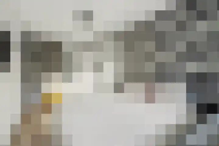 Gerrit van der Veenlaan 140 Den Haag thumbnail 10