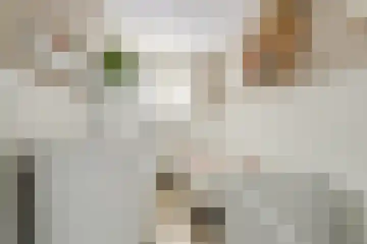 Gerrit van der Veenlaan 140 Den Haag thumbnail 11