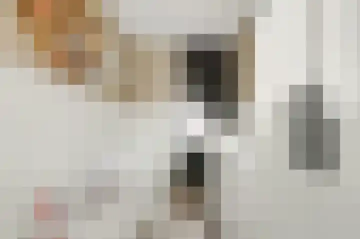 Gerrit van der Veenlaan 140 Den Haag thumbnail 12