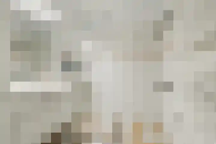 Gerrit van der Veenlaan 140 Den Haag thumbnail 14