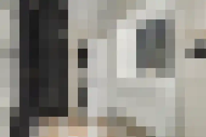 Gerrit van der Veenlaan 140 Den Haag thumbnail 15
