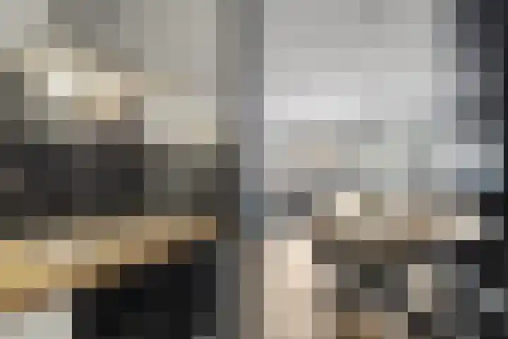Gerrit van der Veenlaan 140 Den Haag thumbnail 8