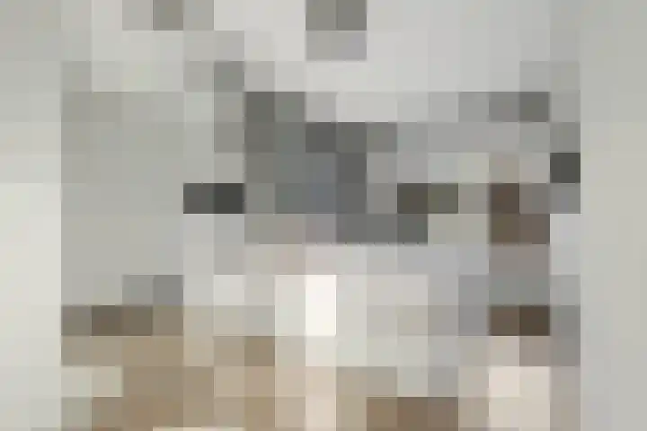 Gerrit van der Veenlaan 140 Den Haag thumbnail 9