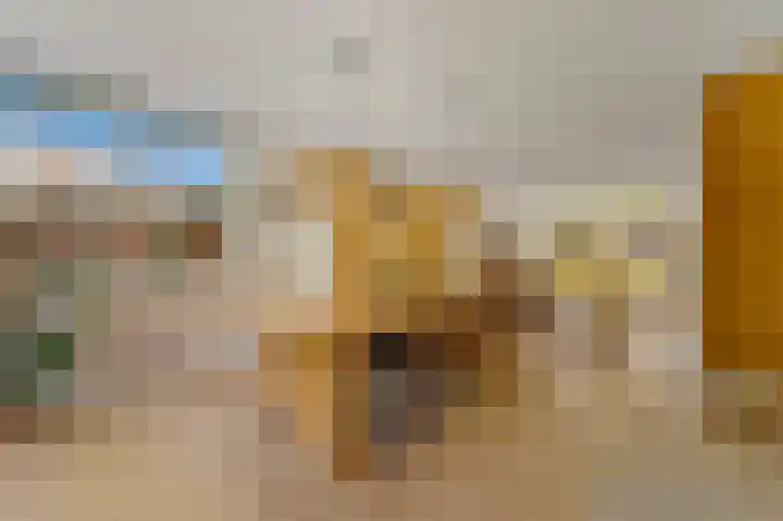 Gerrit van der Veenlaan 157 Den Haag thumbnail 10