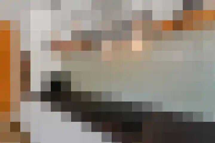 Gerrit van der Veenlaan 157 Den Haag thumbnail 12