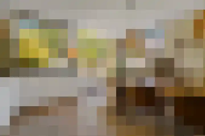 Gerrit van der Veenlaan 157 Den Haag thumbnail 13