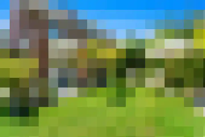 Gerrit van der Veenlaan 157 Den Haag thumbnail 15
