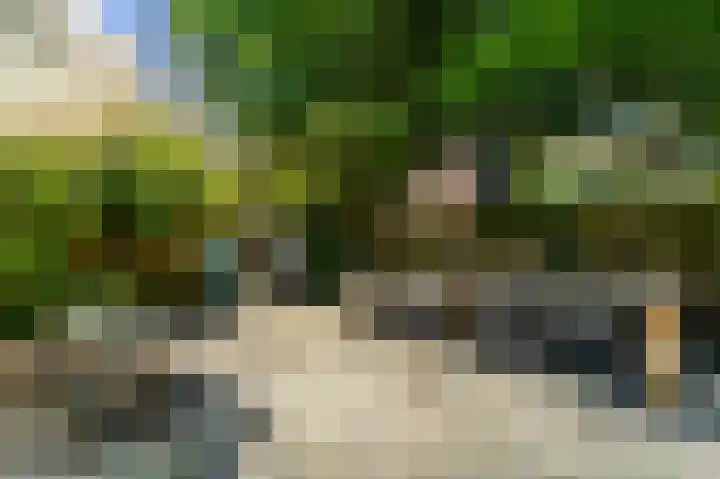 Gerrit van der Veenlaan 157 Den Haag thumbnail 16
