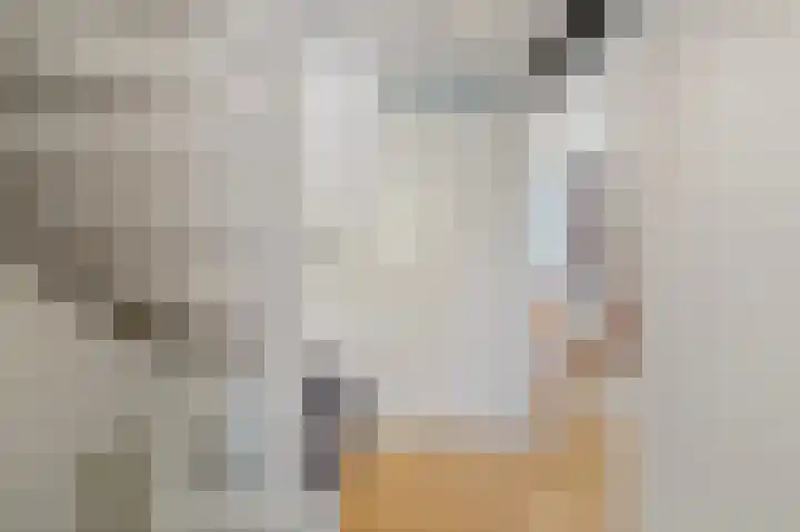 Gerrit van der Veenlaan 157 Den Haag thumbnail 23