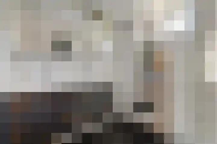 Gerrit van der Veenlaan 157 Den Haag thumbnail 26