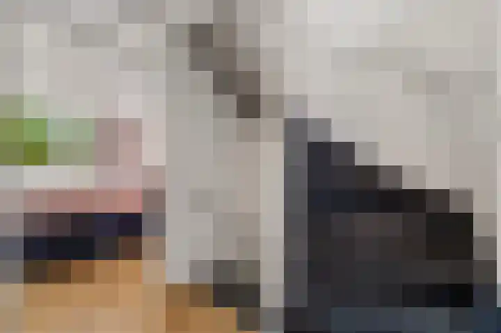 Gerrit van der Veenlaan 157 Den Haag thumbnail 31