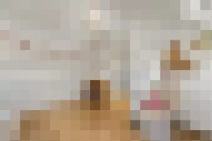Gerrit van der Veenlaan 157 Den Haag thumbnail 35