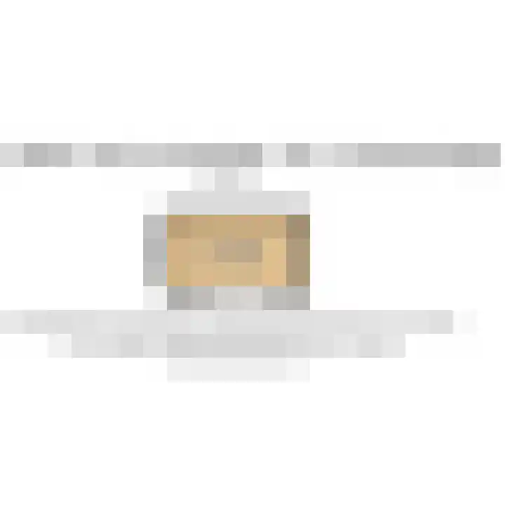 Gerrit van der Veenlaan 157 Den Haag thumbnail 47