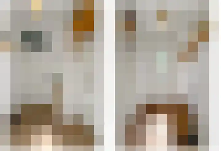 Gerrit van der Veenlaan 157 Den Haag thumbnail 6