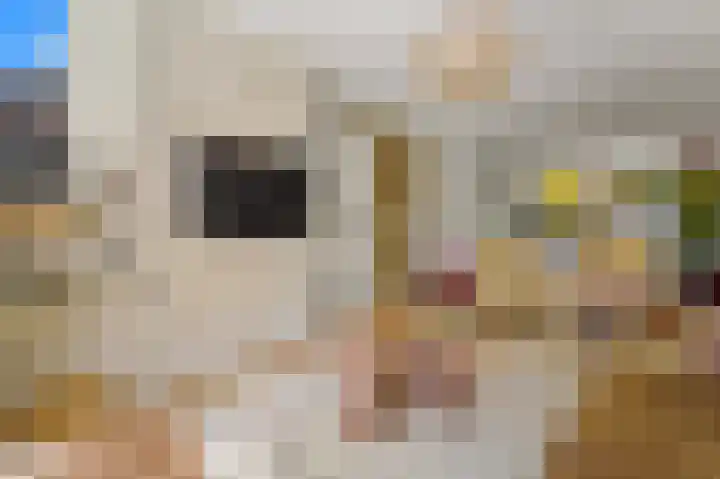 Gerrit van der Veenlaan 157 Den Haag thumbnail 8