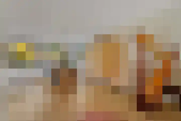 Gerrit van der Veenlaan 157 Den Haag thumbnail 9