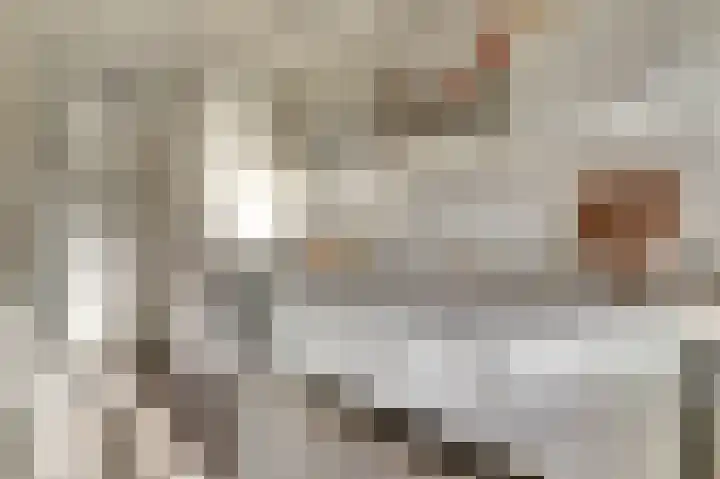 Gerrit van der Veenlaan 193 Den Haag thumbnail 11