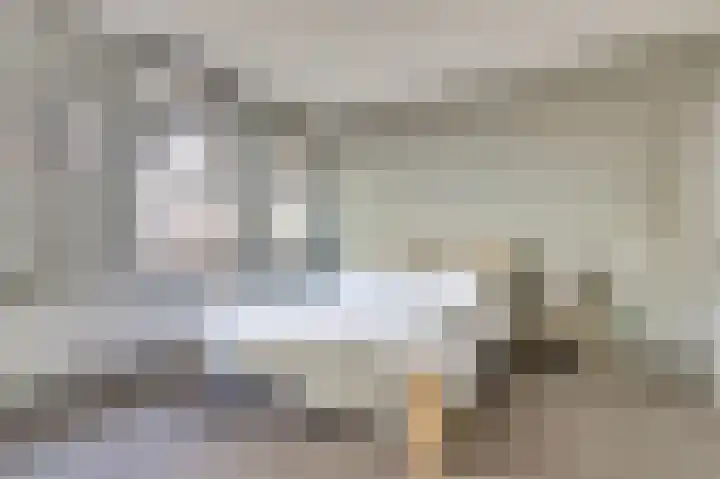 Gerrit van der Veenlaan 193 Den Haag thumbnail 15