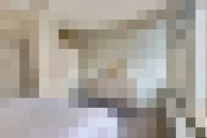 Gerrit van der Veenlaan 193 Den Haag thumbnail 17