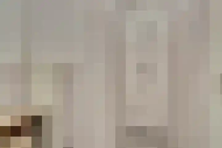Gerrit van der Veenlaan 193 Den Haag thumbnail 21