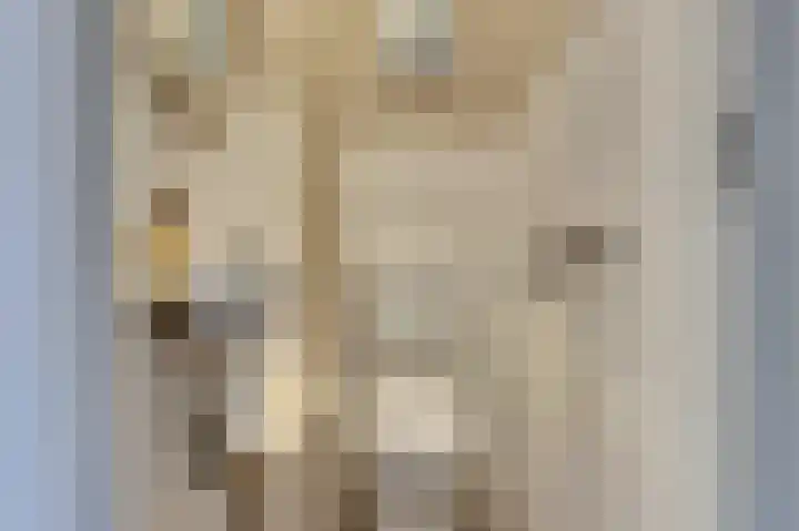 Gerrit van der Veenlaan 193 Den Haag thumbnail 22