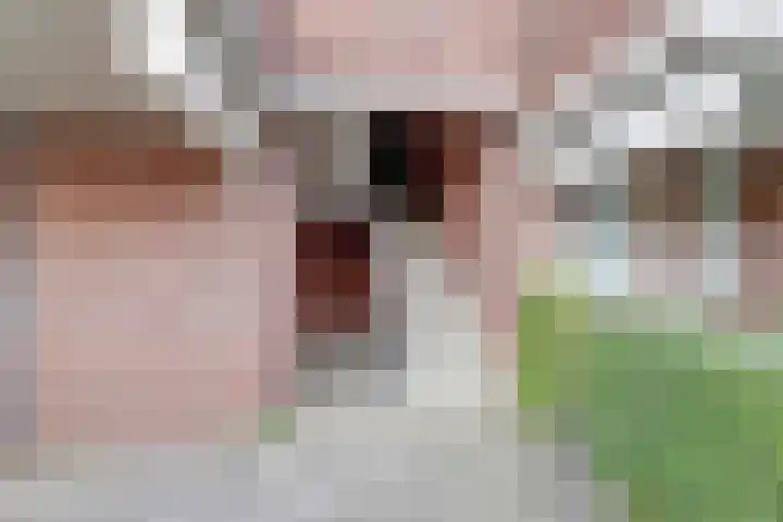 Gerrit van der Veenlaan 193 Den Haag thumbnail 23