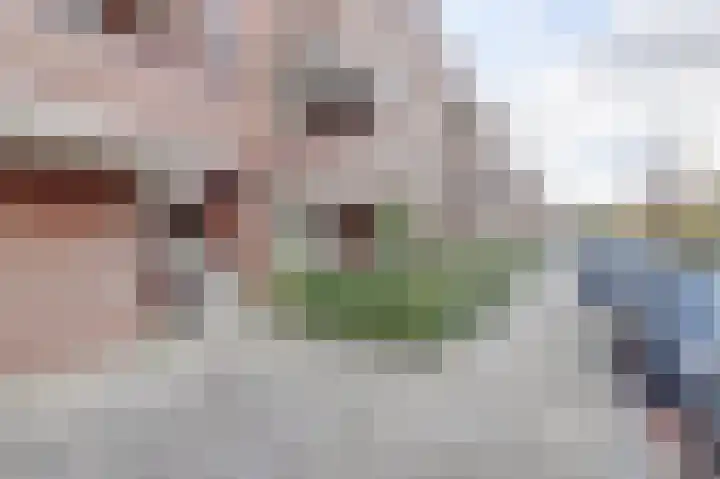Gerrit van der Veenlaan 193 Den Haag thumbnail 24