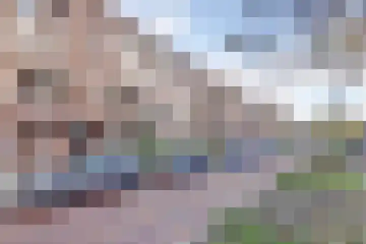 Gerrit van der Veenlaan 193 Den Haag thumbnail 25