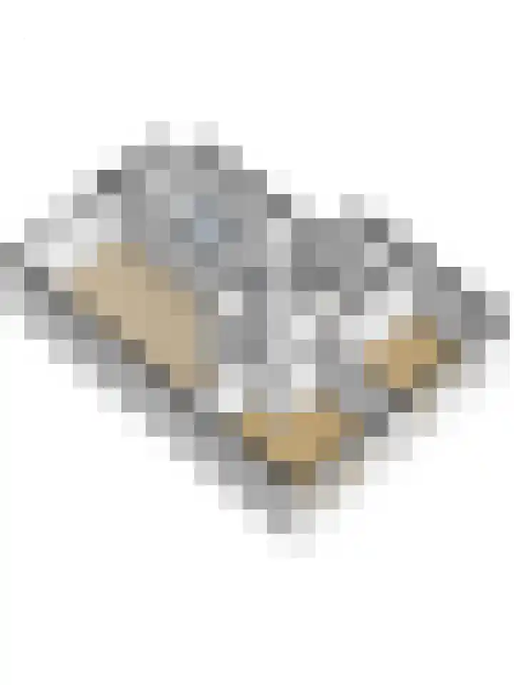 Gerrit van der Veenlaan 193 Den Haag thumbnail 34