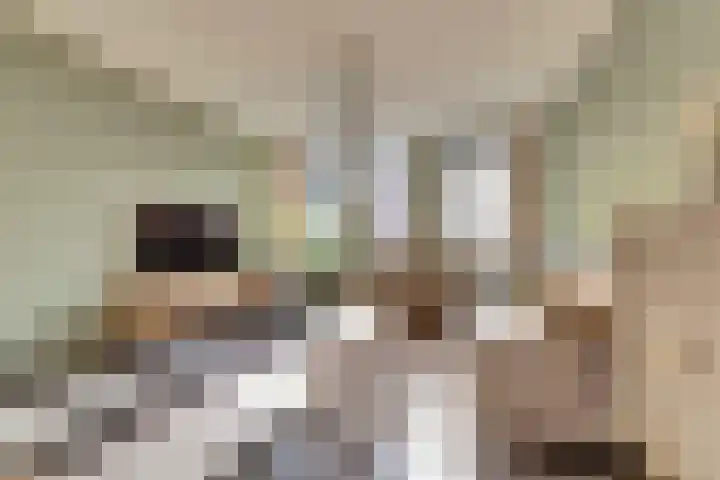 Gerrit van der Veenlaan 193 Den Haag thumbnail 4