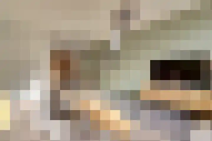 Gerrit van der Veenlaan 193 Den Haag thumbnail 6