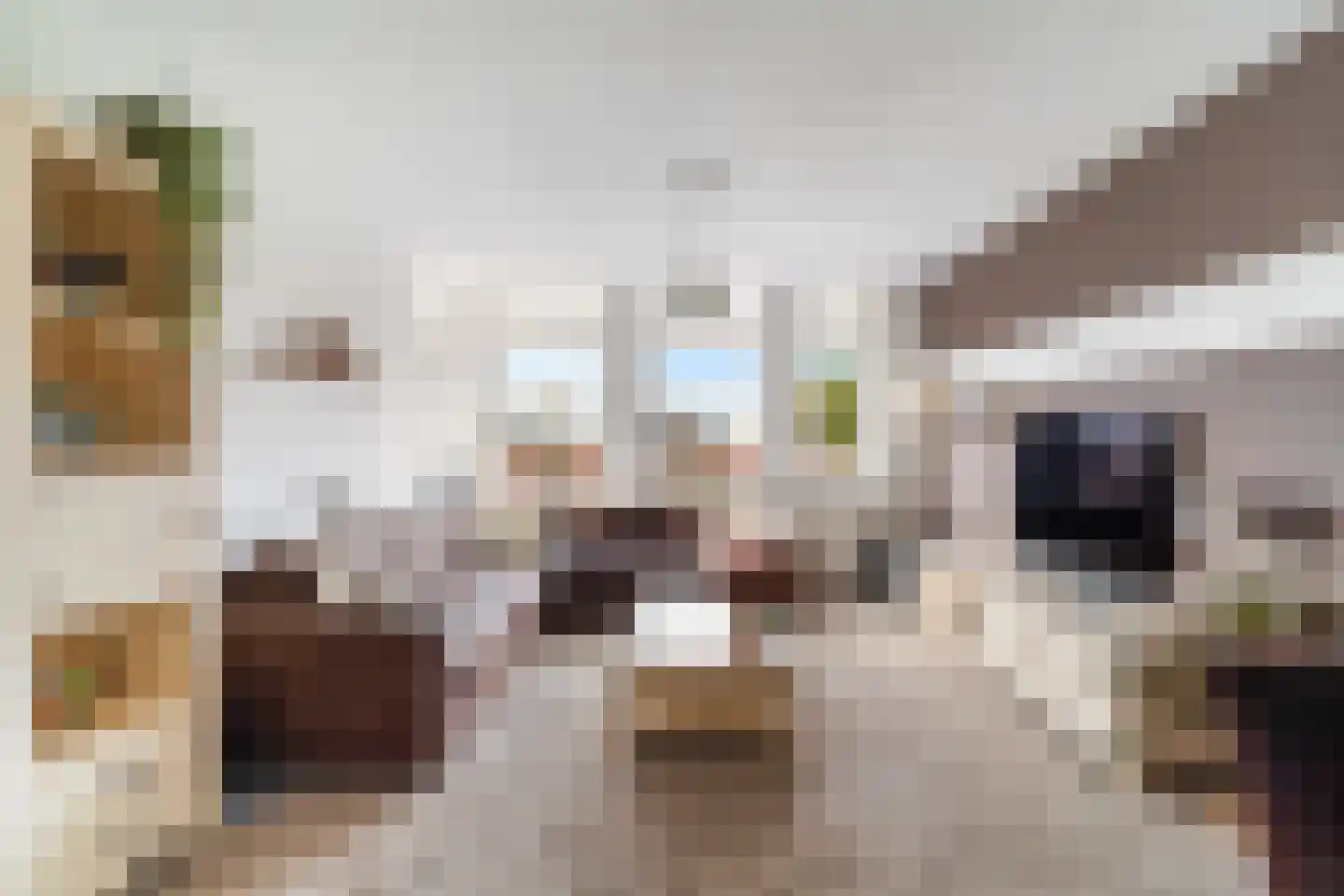 Gerrit van der Veenlaan 203 Den Haag thumbnail 10