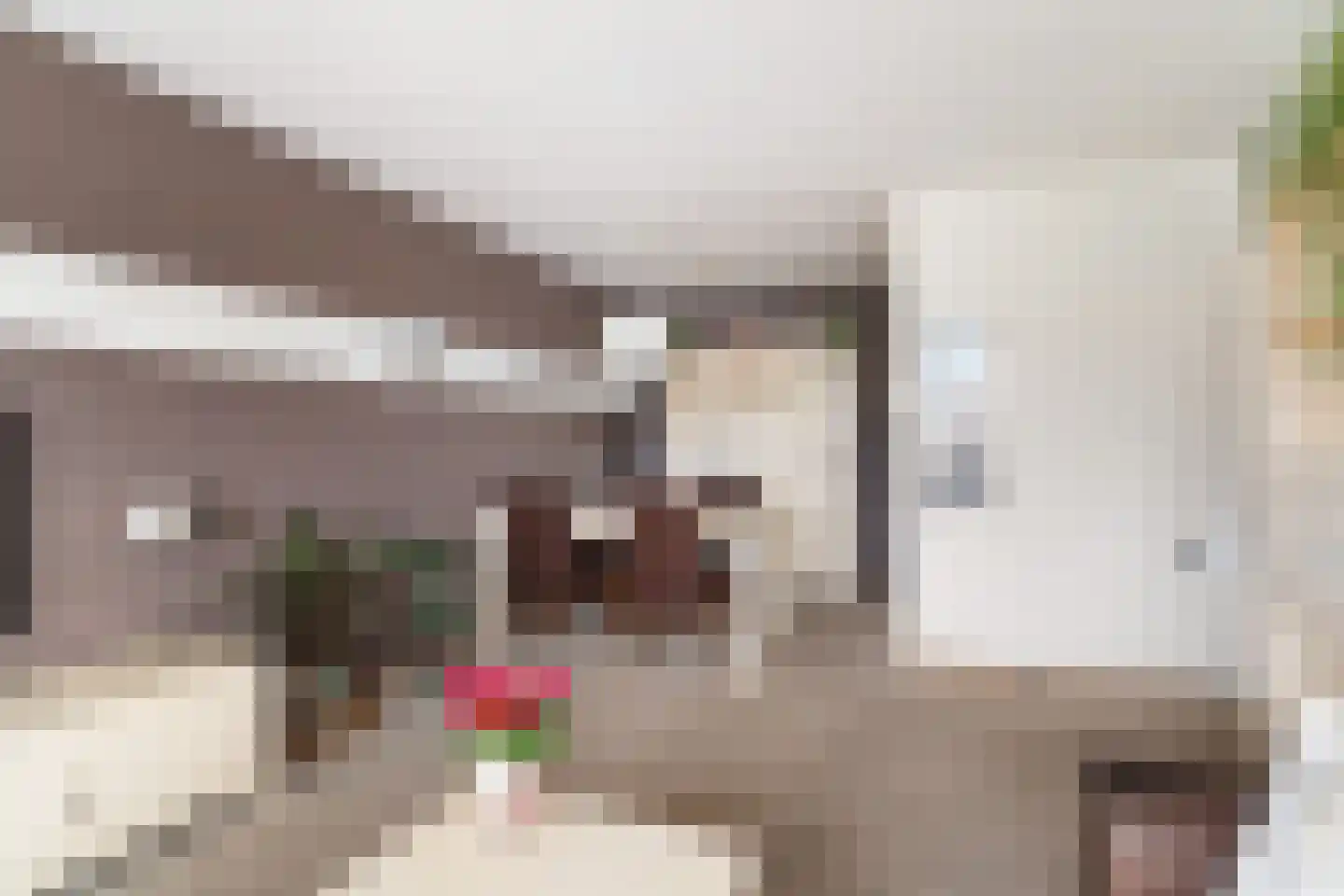 Gerrit van der Veenlaan 203 Den Haag thumbnail 12