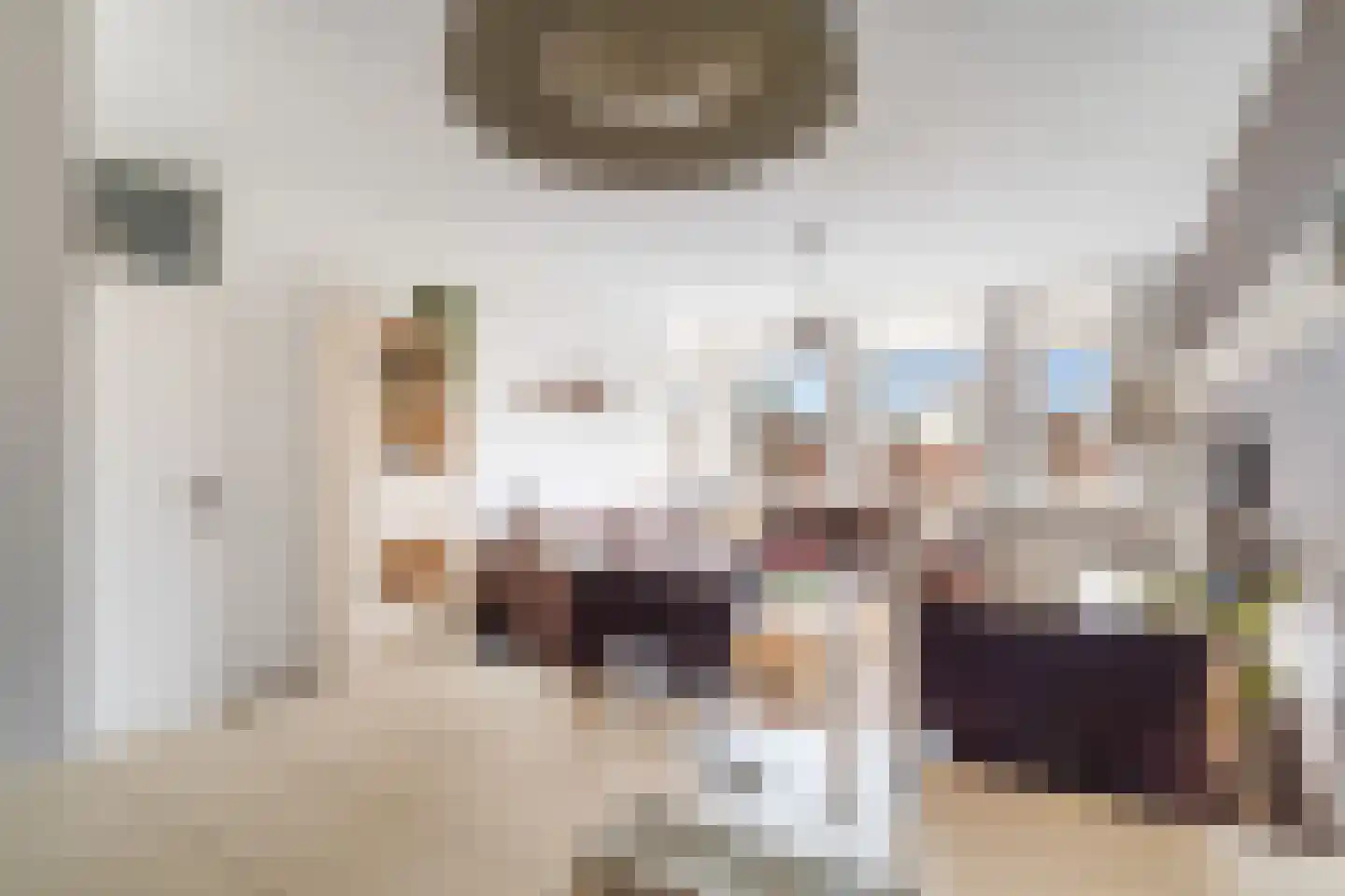 Gerrit van der Veenlaan 203 Den Haag thumbnail 13