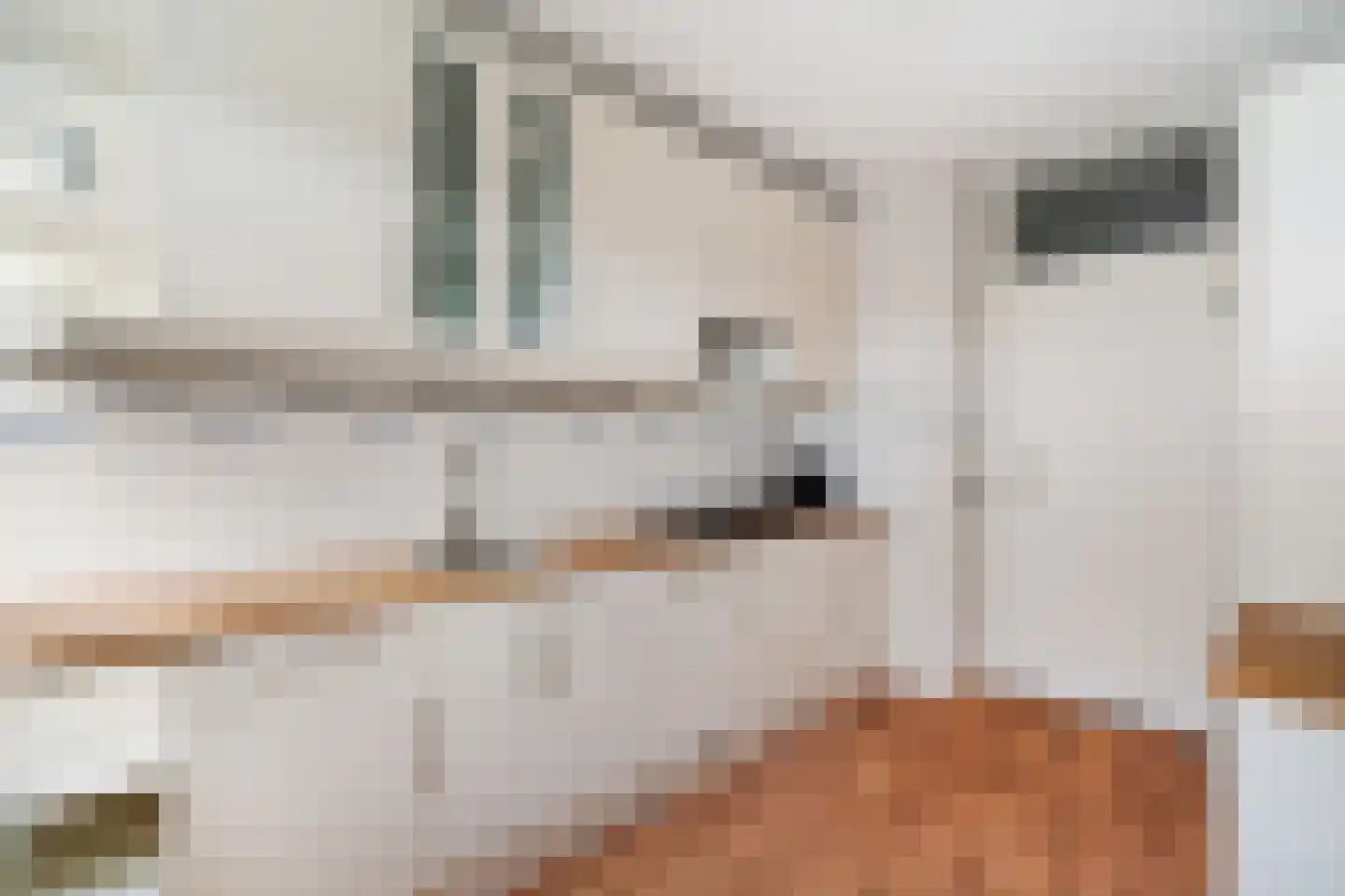Gerrit van der Veenlaan 203 Den Haag thumbnail 16