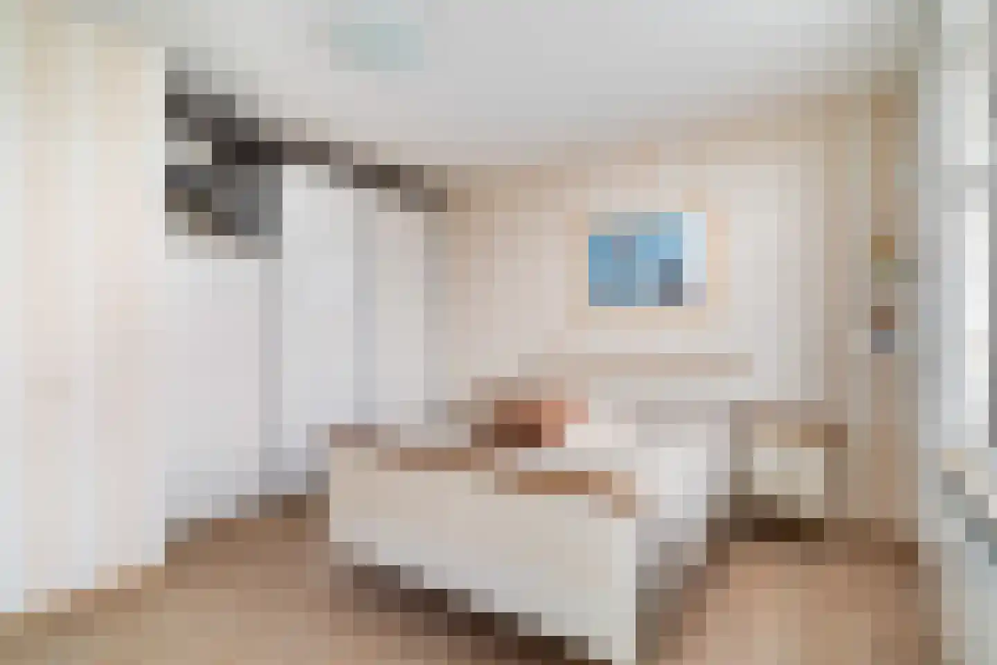 Gerrit van der Veenlaan 203 Den Haag thumbnail 18